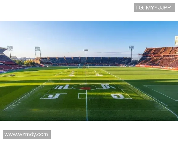 足球马特里：从绿茵场到人生舞台的精彩转身与奋斗历程