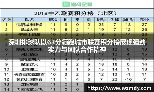 深圳排球队以63分领跑城市联赛积分榜展现强劲实力与团队合作精神
